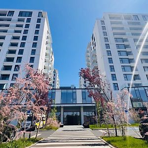 Exclusive 1Br Apartments In One Cotroceni