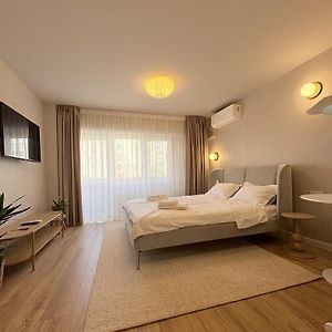 Axa Central Studio - Tineretului