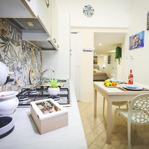 Little House Pisani