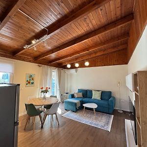 Ados Loft Apartment Center Tirana