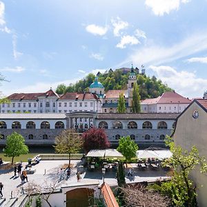 Trubarjeva 12 - The View