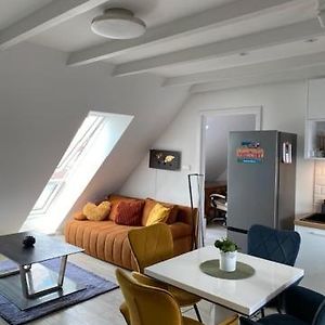 R77 Apartment Downtown - Penthouse