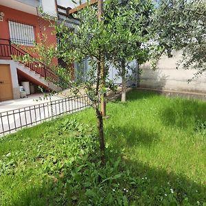 Kalpazo Tirana Vila 313