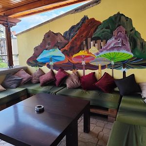 Hostel Albania Villa