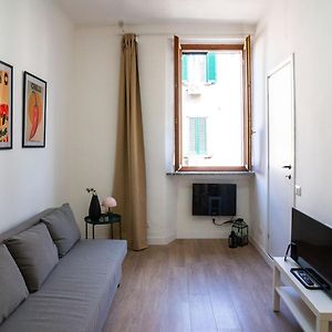 Studio Lit King-Size