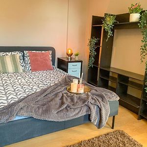 Central Houses Budget Friendly