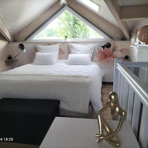Au Bord Du Vieux Moulin