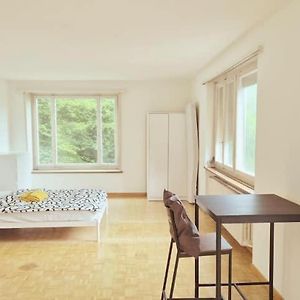 Appartement de Luxe à 1 Chambre à Coucher