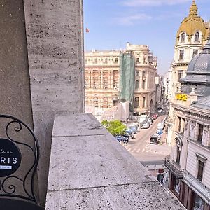 Luna Luxury Apartment