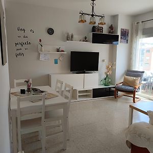 Disfruta Granada,Incluso Con Tu Mascota Parking