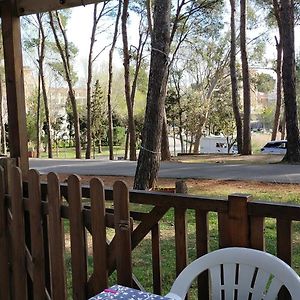 Bungalow 5 Pers