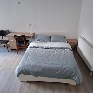 Studio Lit Queen-Size