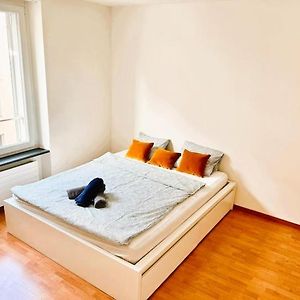 City Center Apartments In The Heart Of Zurich Berta - Self Checkin