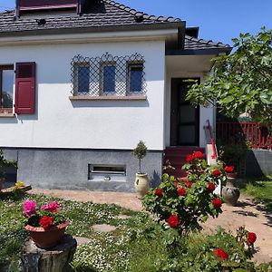 Colmar , Séjour calme chez l'habitant