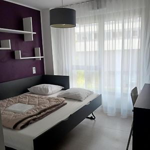 Studio Lit King-Size