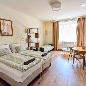 Apartment In Zizkov -504-