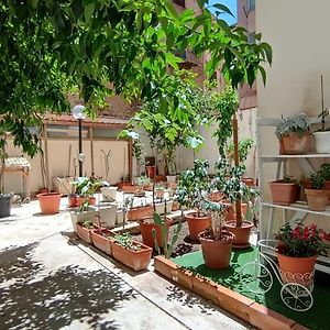 Tati'S Garden