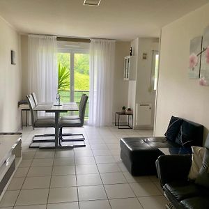 Appartement Au Calme Nature Et Centre Ville