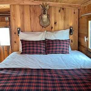 Mobile Home