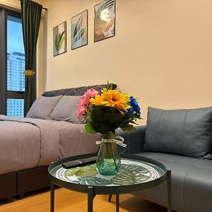 Studio Lit Queen-Size