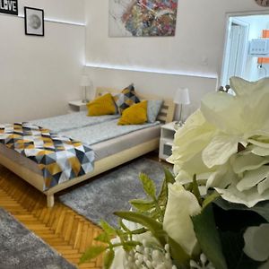 Small Cosy Apartment Near The Famous Westend City Center