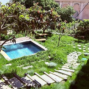 Pepites Bastiaises Teatru Appartement Centre Ville Avec Piscine Et Jardin