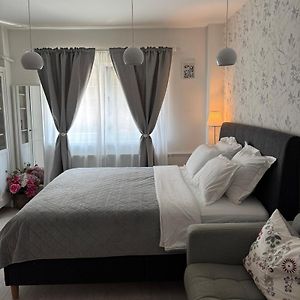 Appartement de Luxe à 1 Chambre à Coucher