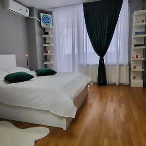 Apartament Victoriei - Centru