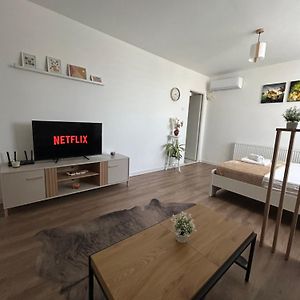 Appartement à 1 Chambre à Coucher
