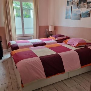 Lyon 8 Grange Blanche Appartement Calme De 50 M²