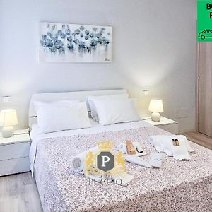 Puccio Home - Central Station