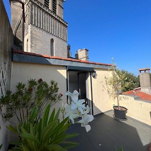 Le Logis du Chanoine, 50 m2&terrace face to Cathedral