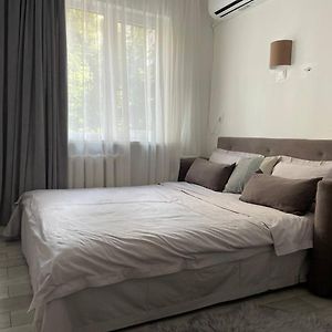 Comfortable Studio M Vokzalna
