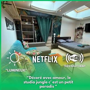 Jungle Studio - 2P A 4P -Henriville