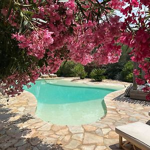 Luxueuse Villa, Hyper Centre Port De Porto Vecchio