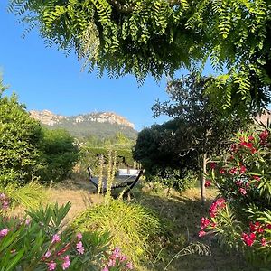 Le Coteau de Cassis