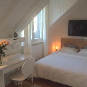 Carouge Loft Apartment