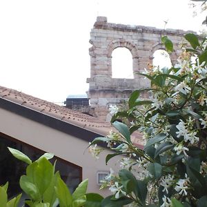 La Terrazza Sull'Arena