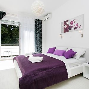 Apartment Purple Magic