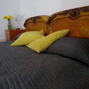 Appartement de Luxe à 1 Chambre à Coucher