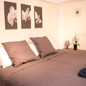 Suite Lit King-Size au Sous-Sol