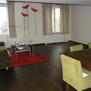 Judit Apartman