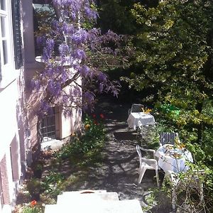 Garden Studio Apartment Zuerichberg
