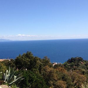 Appartement Cardo