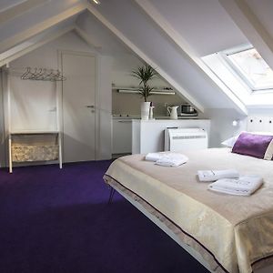 Appartement Studio de Luxe