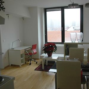 Appartement Supérieur à 1 Chambre à Coucher