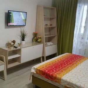 Appartement Supérieur à 1 Chambre à Coucher