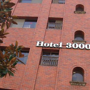 Akihabara Hotel 3000