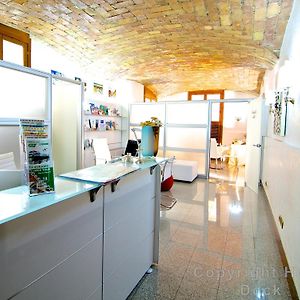 Suite Junior