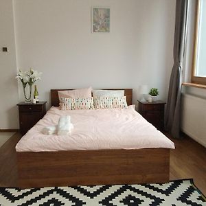 Luxury apartment Piękna